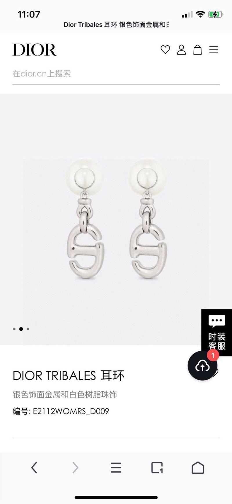 Christian Dior Earrings